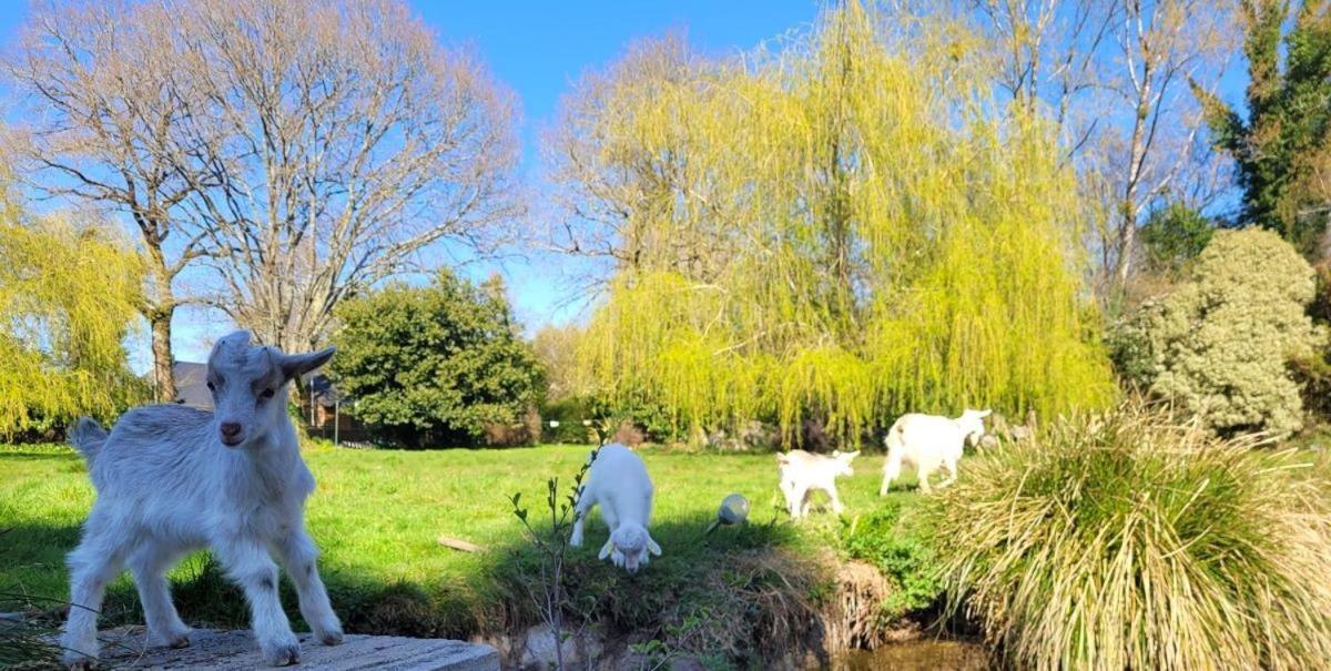Landévant Le Domaine Des Sources Bed & Breakfast エクステリア 写真