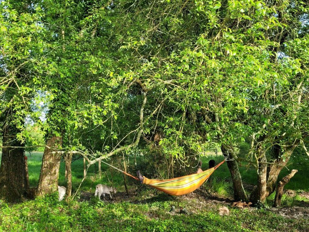 Landévant Le Domaine Des Sources Bed & Breakfast エクステリア 写真